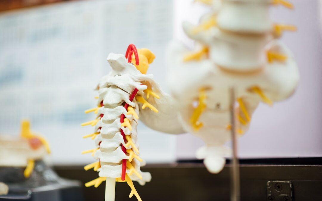 Understanding and Treating Subluxations